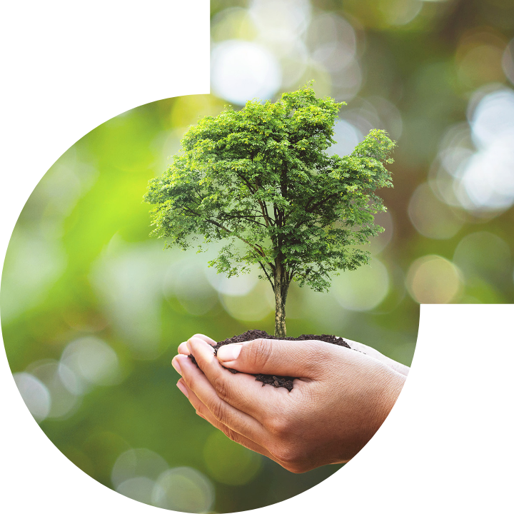 关怀人类、文化、环境与社会